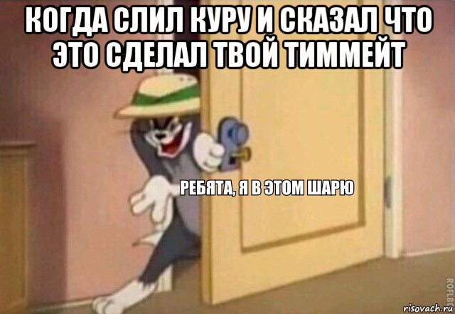 когда слил куру и сказал что это сделал твой тиммейт , Мем    Ребята я в этом шарю