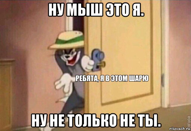 ну мыш это я. ну не только не ты., Мем    Ребята я в этом шарю