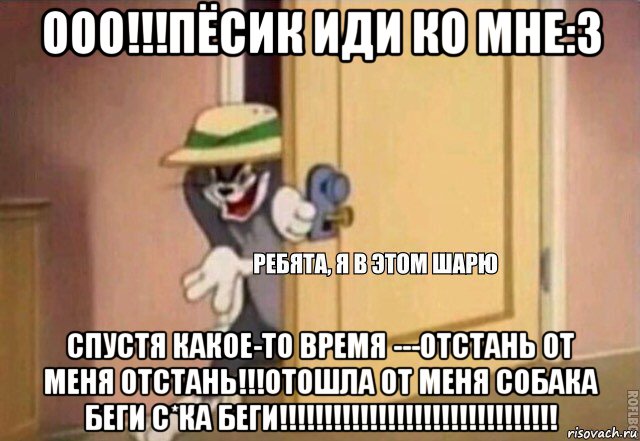 ооо!!!пёсик иди ко мне:3 спустя какое-то время ---отстань от меня отстань!!!отошла от меня собака беги с*ка беги!!!!!!!!!!!!!!!!!!!!!!!!!!!!!!!, Мем    Ребята я в этом шарю