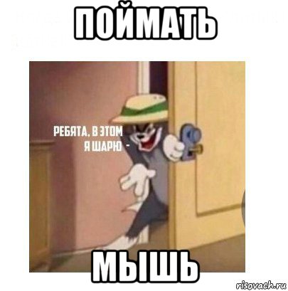 поймать мышь