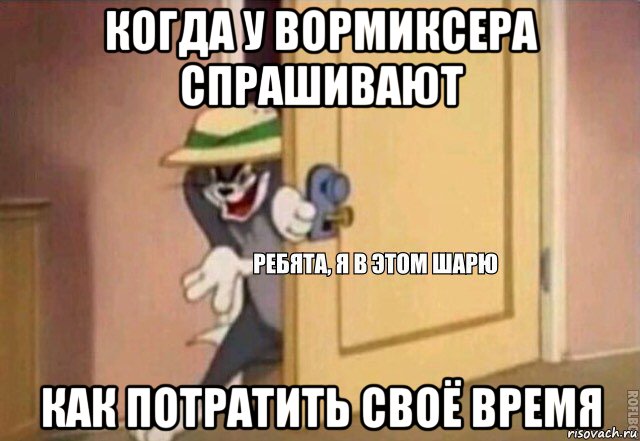 когда у вормиксера спрашивают как потратить своё время, Мем    Ребята я в этом шарю