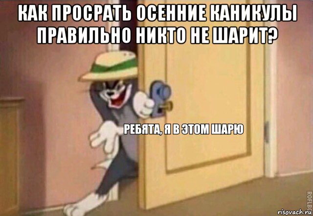 как просрать осенние каникулы правильно никто не шарит? , Мем    Ребята я в этом шарю