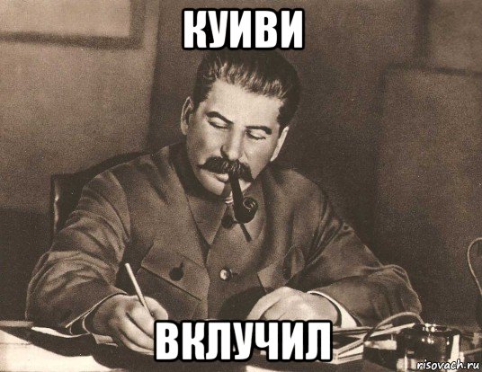 куиви вклучил