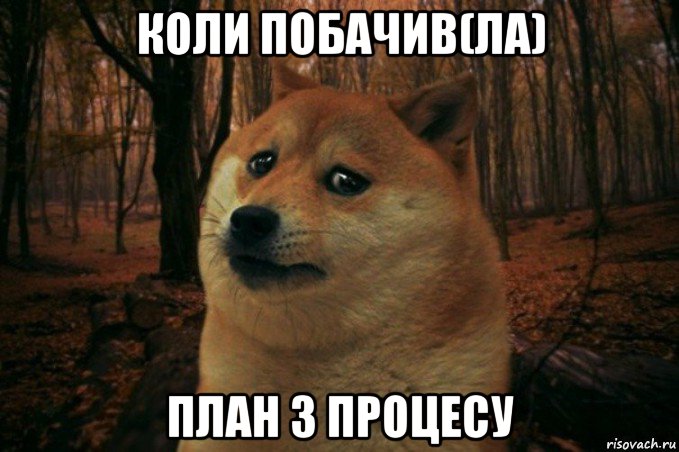 коли побачив(ла) план з процесу, Мем SAD DOGE