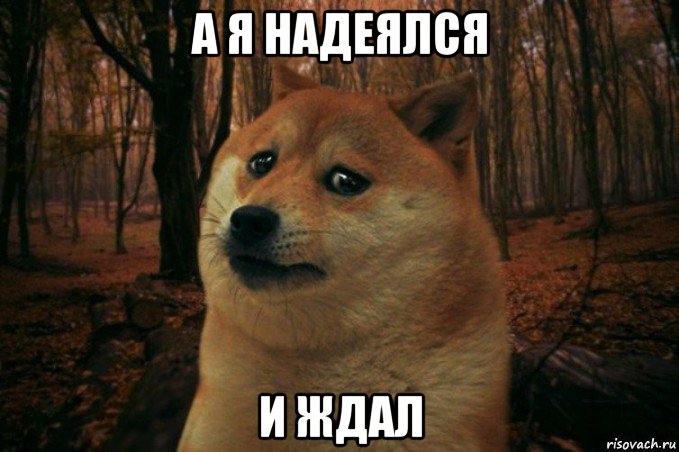 а я надеялся и ждал, Мем SAD DOGE