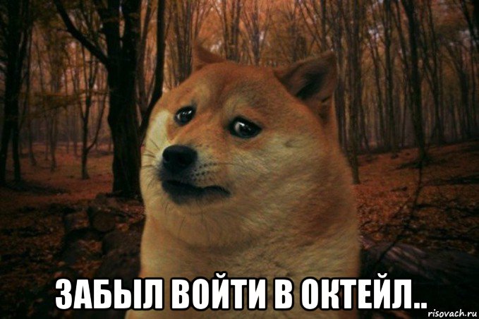  забыл войти в октейл.., Мем SAD DOGE