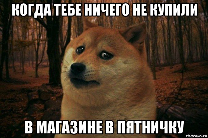 когда тебе ничего не купили в магазине в пятничку, Мем SAD DOGE