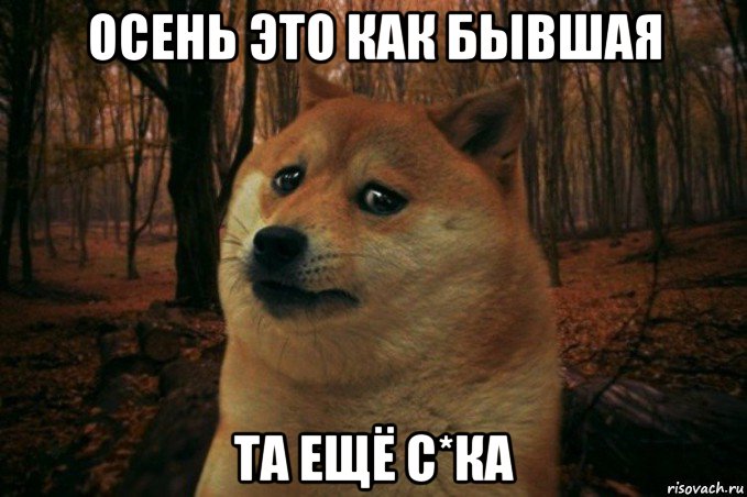 осень это как бывшая та ещё с*ка, Мем SAD DOGE