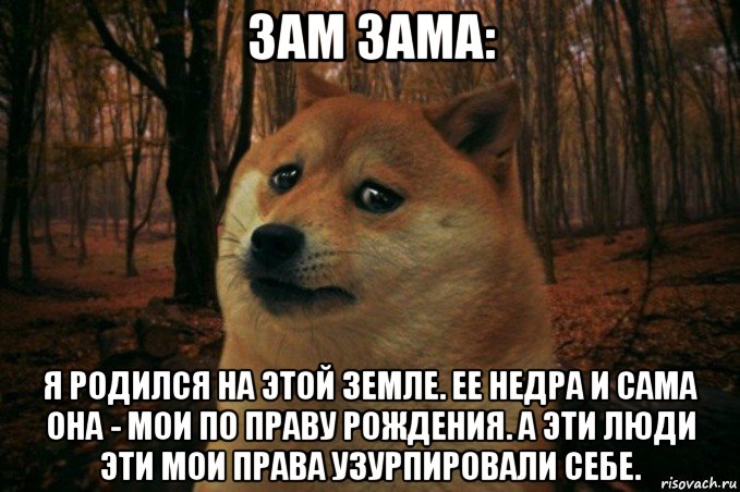 http://risovach.ru/upload/2018/10/mem/sad-doge_191226925_orig_.jpg