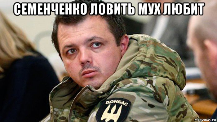 семенченко ловить мух любит 