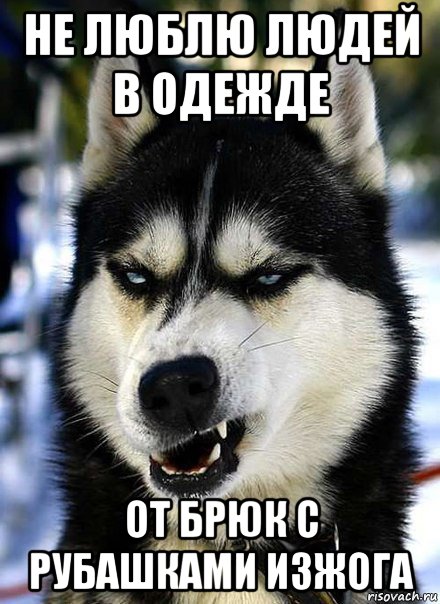 не люблю людей в одежде от брюк с рубашками изжога