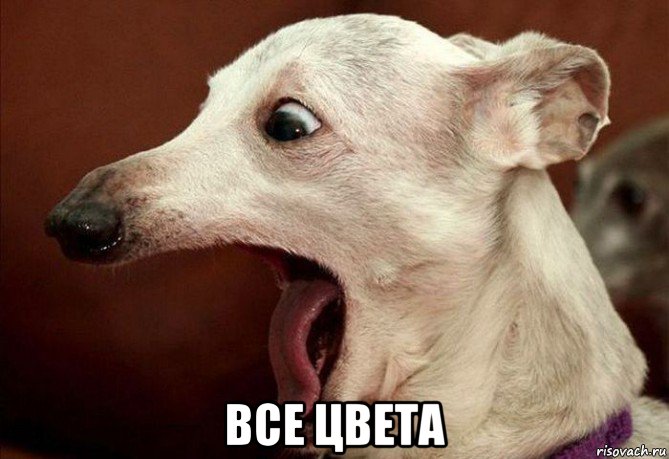  все цвета