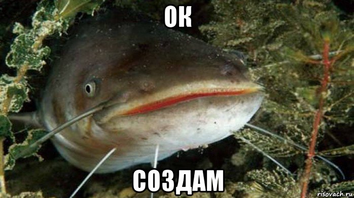 ок создам