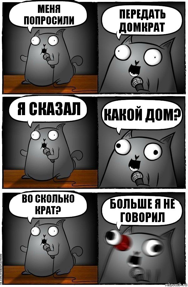 меня попросили передать домкрат я сказал какой дом? во сколько крат? больше я не говорил, Комикс  Стендап-кот