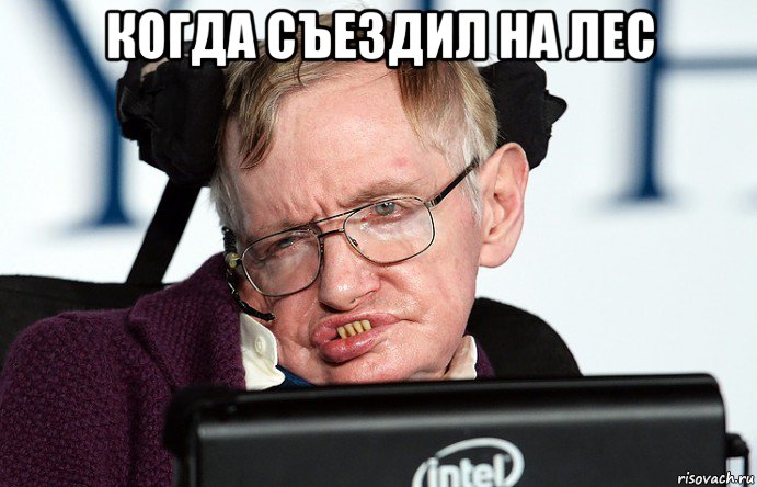 когда съездил на лес 