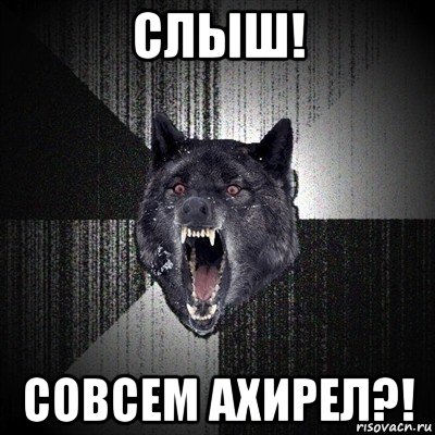 слыш! совсем ахирел?!