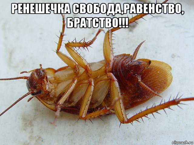 ренешечка свобода,равенство, братство!!! 