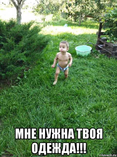  мне нужна твоя одежда!!!, Мем Терминатор