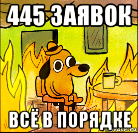 445 заявок всё в порядке