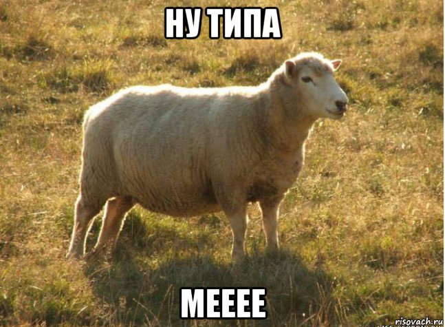 ну типа мееее, Мем Типичная овца