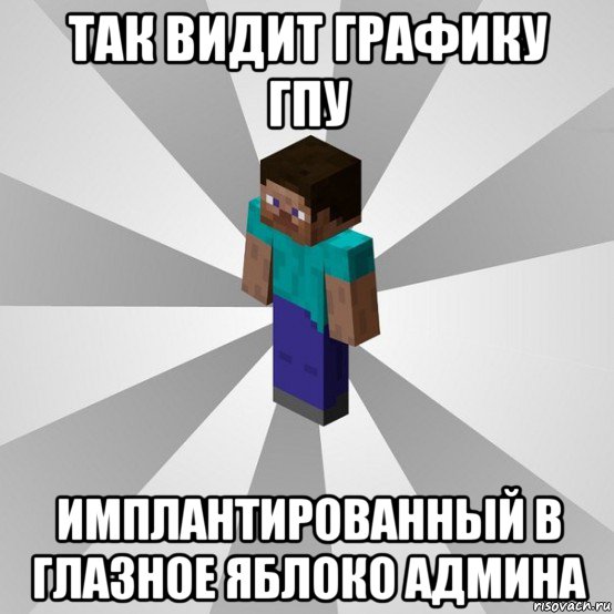 так видит графику гпу имплантированный в глазное яблоко админа, Мем Типичный игрок Minecraft