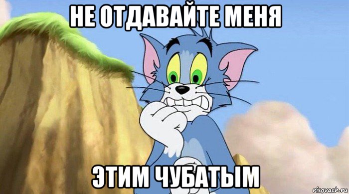 не отдавайте меня этим чубатым
