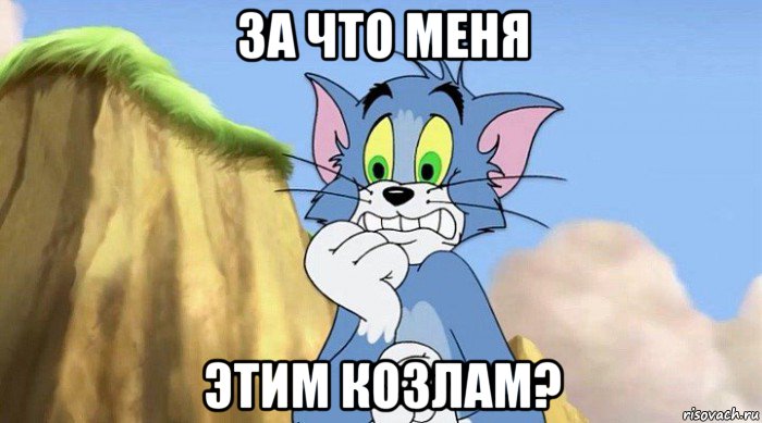 за что меня этим козлам?