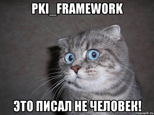 pki_framework это писал не человек!, Мем  удивлённый кот