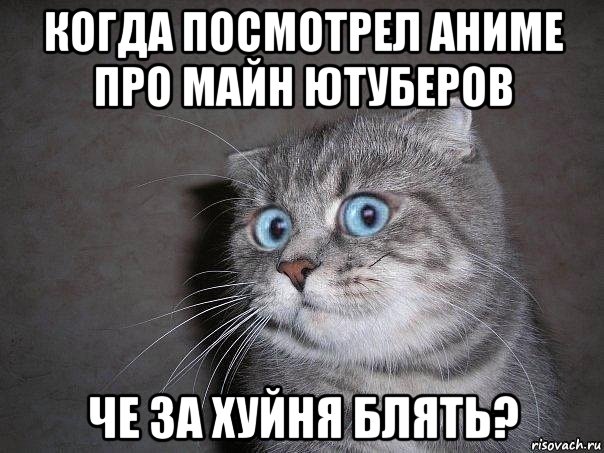 когда посмотрел аниме про майн ютуберов че за хуйня блять?, Мем  удивлённый кот