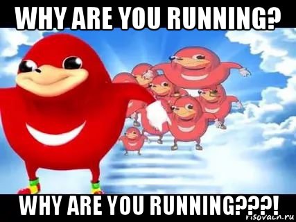 why are you running? why are you running???!, Мем Уганда наклз