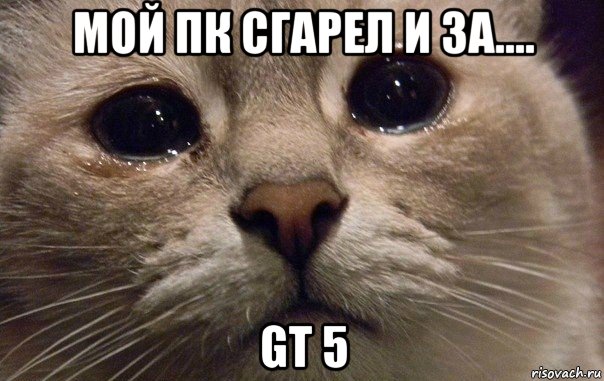 мой пк сгарел и за.... gt 5, Мем   В мире грустит один котик