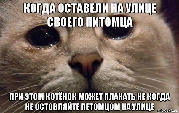 когда оставели на улице своего питомца при этом котёнок может плакать не когда не остовляйте петомцом на улице, Мем   В мире грустит один котик