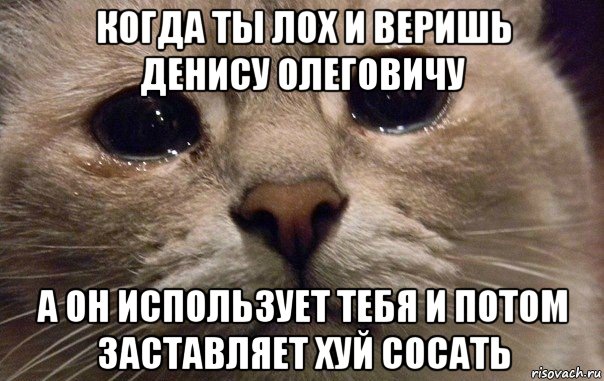 когда ты лох и веришь денису олеговичу а он использует тебя и потом заставляет хуй сосать, Мем   В мире грустит один котик