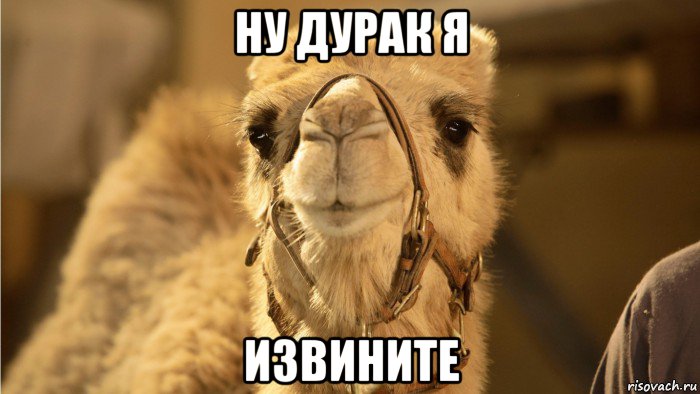 ну дурак я извините