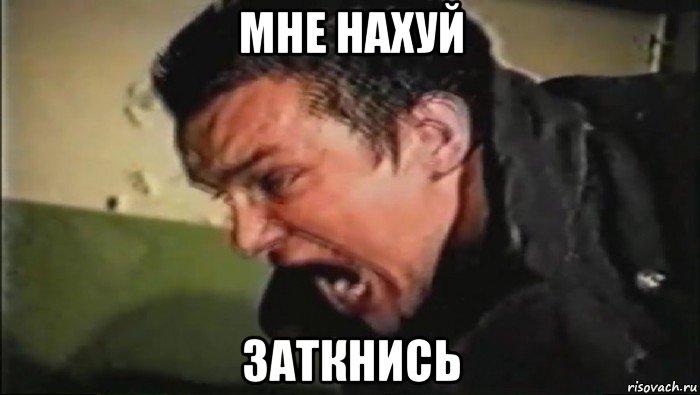 мне нахуй заткнись
