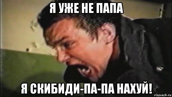 я уже не папа я скибиди-па-па нахуй!