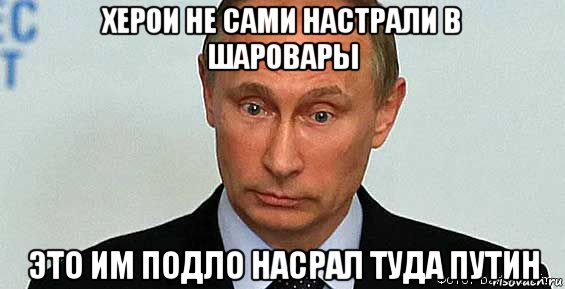 херои не сами настрали в шаровары это им подло насрал туда путин, Мем Владимир Путин