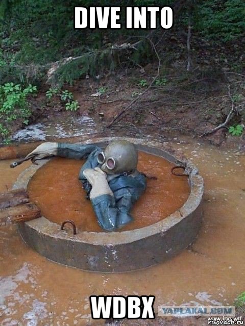 dive into wdbx