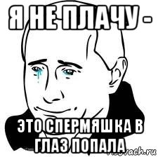 я не плачу - это спермяшка в глаз попала, Мем  Володя Путин
