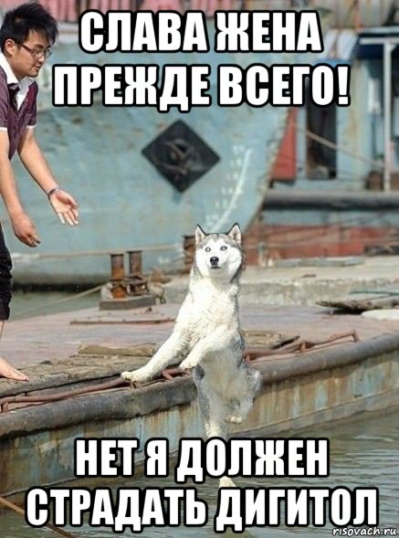 слава жена прежде всего! нет я должен страдать дигитол