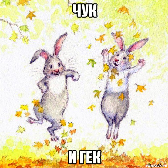 чук и гек