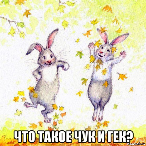  что такое чук и гек?