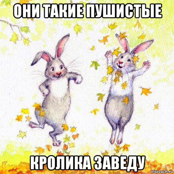 они такие пушистые кролика заведу