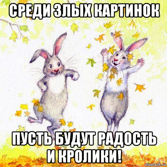 среди злых картинок пусть будут радость и кролики!