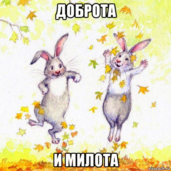 доброта и милота