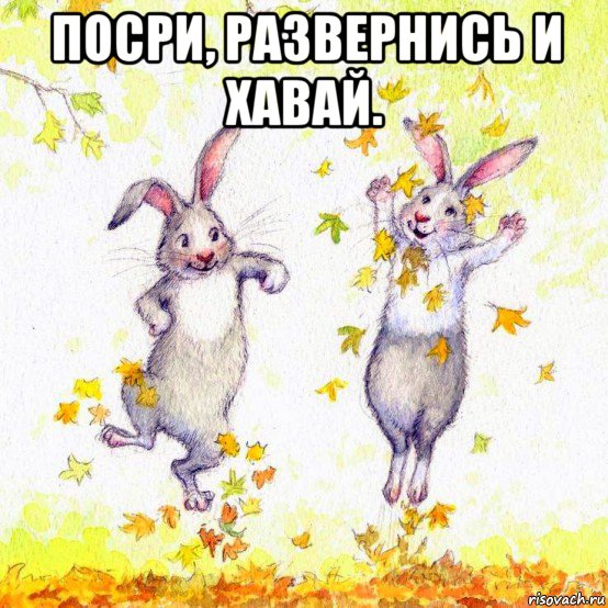 посри, развернись и хавай. 