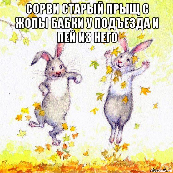 сорви старый прыщ с жопы бабки у подъезда и пей из него 