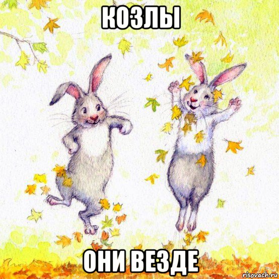 козлы они везде
