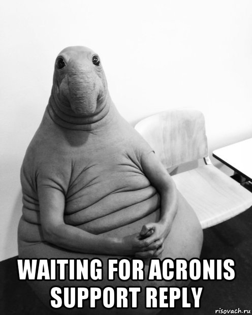  waiting for acronis support reply, Мем  Ждун