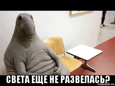  света еще не развелась?